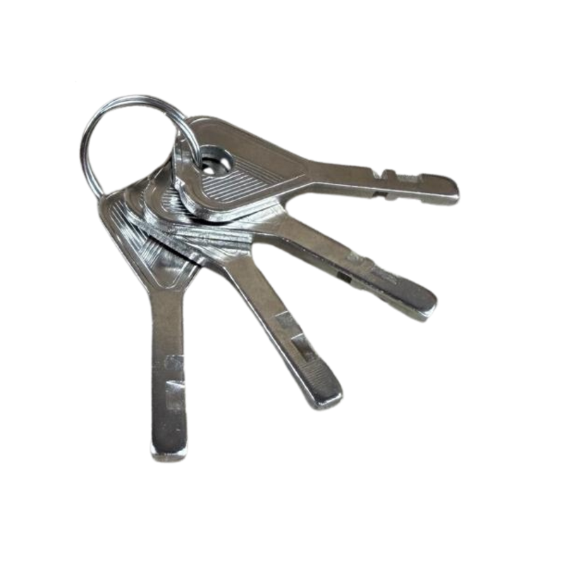Verrou de barre de porte pour conteneur maritime renforcé – protection par cadenas